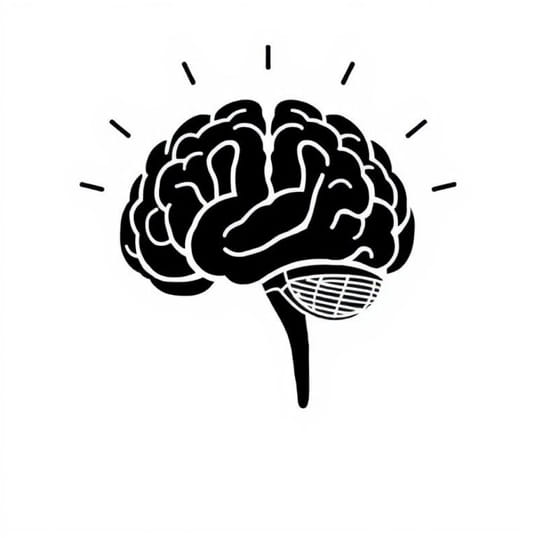 Explain Meninges Of Brain