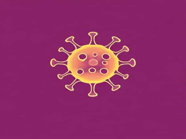 Family Of Ebola Virus