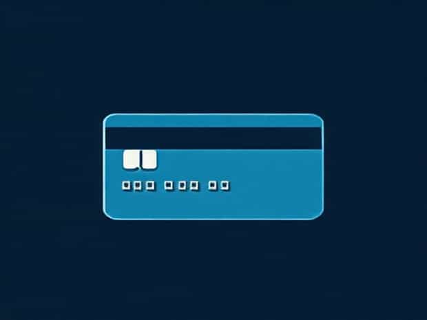 Felony Credit Card Abuse