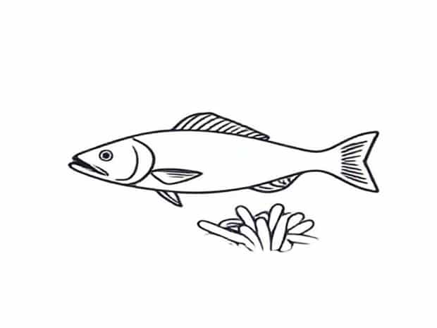 Fish And Chips Gainsborough