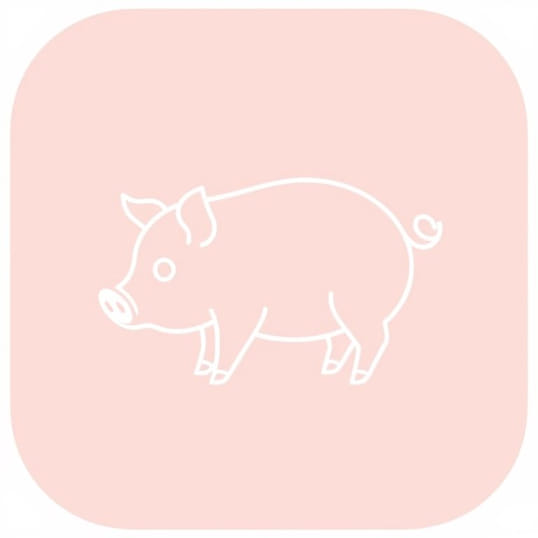 Full Flo Pigging Solutions