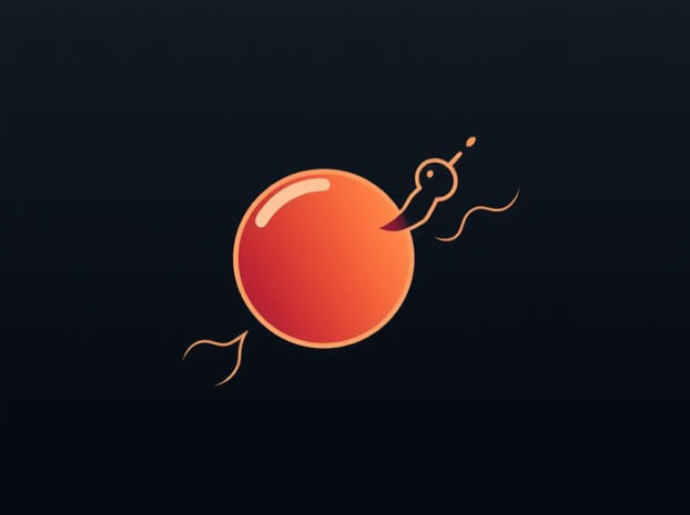 Fusion Of Ovum And Sperm Is Called