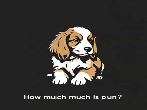 How Much Is An Afghan Hound Puppy