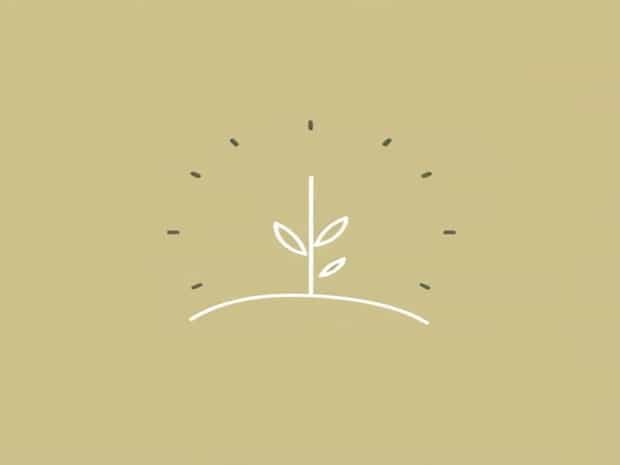 How To Be A Good Steward