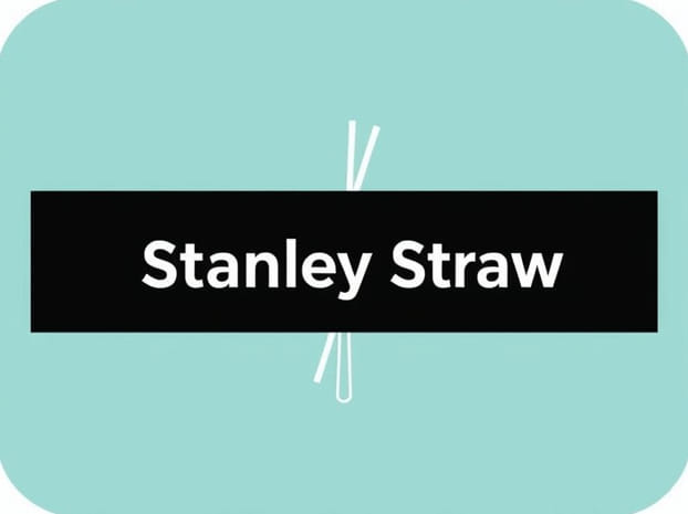 How To Cover Stanley Straw