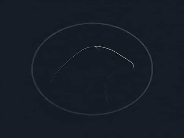 How To Find Your Instinctual Variant