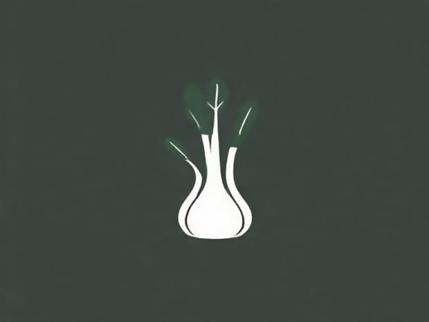 How To Plant Fennel