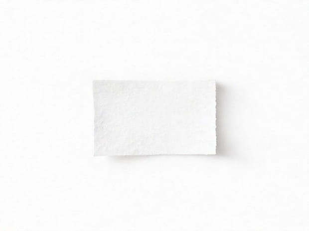 How To Use Vellum Paper