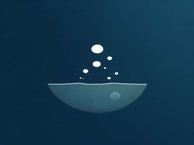 Intertidal Zone Dissolved Gasses