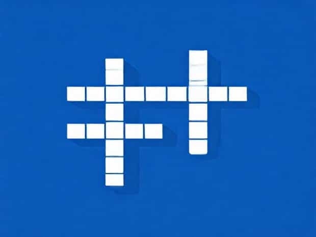 Is A Gamester Crossword