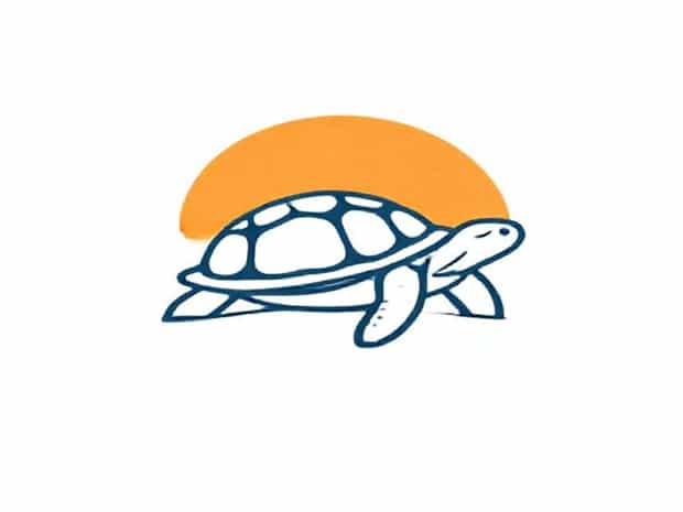 Is Tortola Worth Visiting