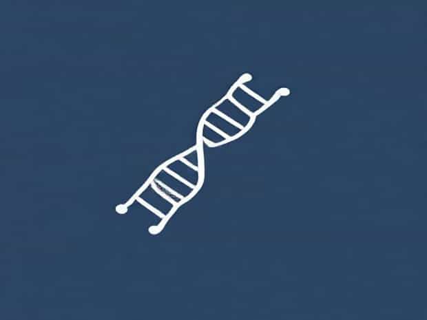 J2 Anti Dsrna Murine Antibody