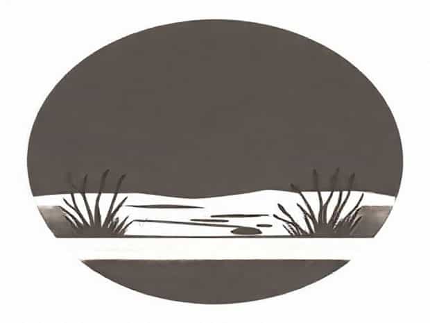 Jebel Ali Wetland Sanctuary