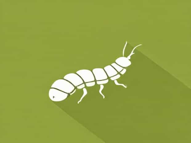 Jeet Maggot Farm Parts