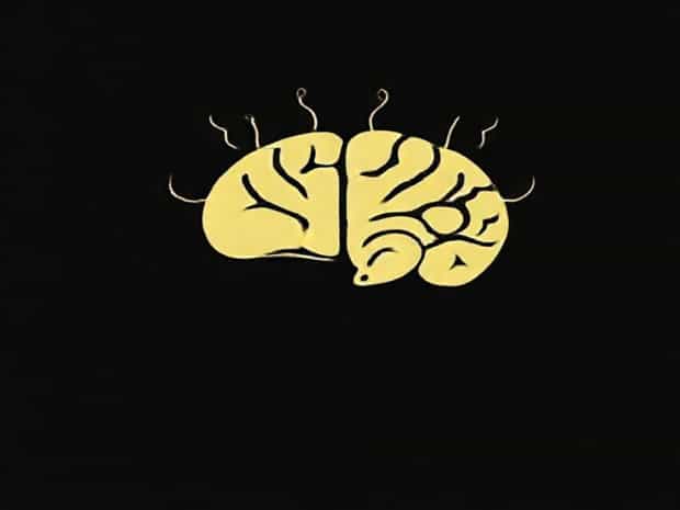 Jeeves Exerts The Old Cerebellum