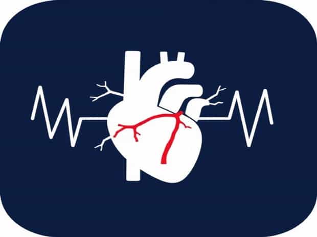 Job Of Coronary Arteries