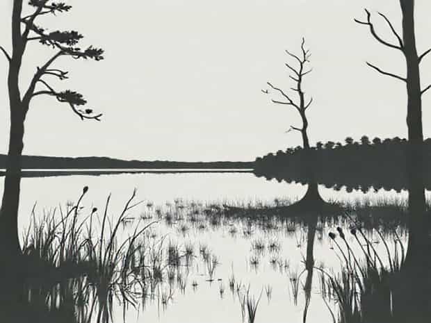 Jug Bay Wetland Sanctuary
