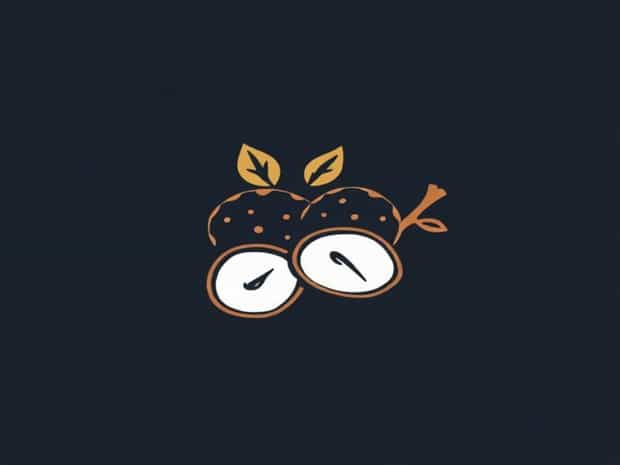 Kerala Copra Price Today