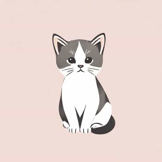 Kittens For Sale Stoke On Trent