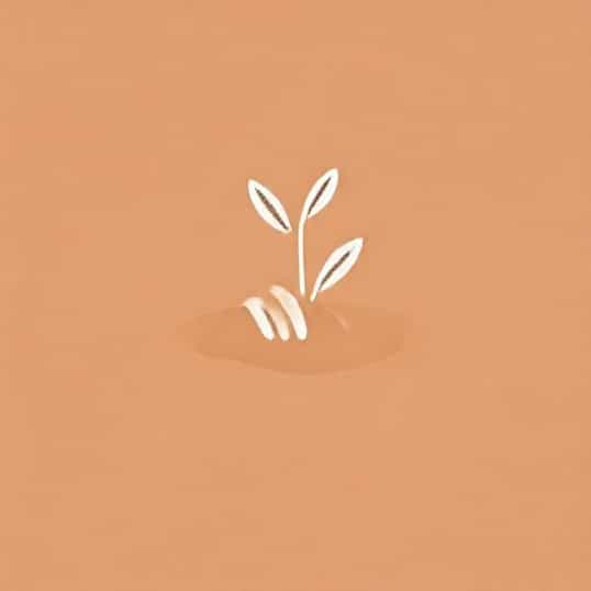 Kneading Compaction In Soil