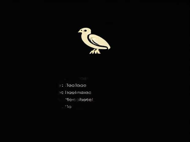 List Of Birds Of Prey