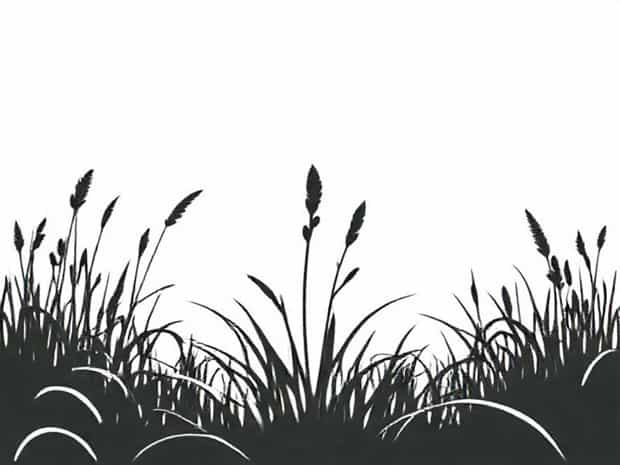 Marsh Plant Used For Thatching