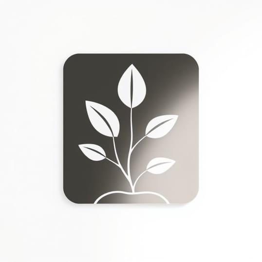 How Is Photosynthesis Important