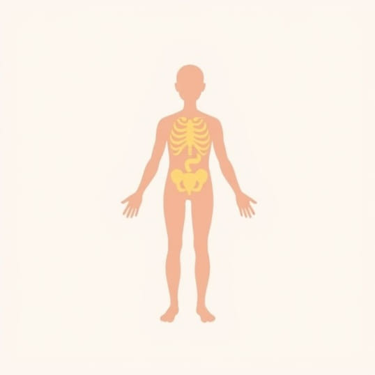 How Many Nonessential Amino Acids Can The Body Make