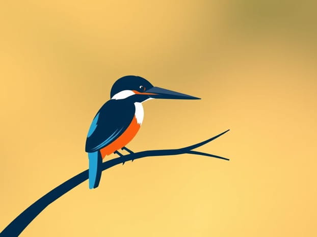 How Much Are Kingfisher Shares