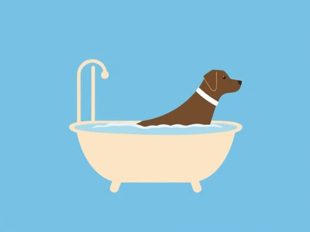 How Much Does A Bather Make At Petsmart