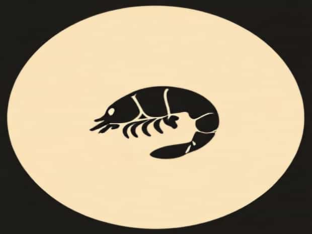 How To Blacken Shrimp