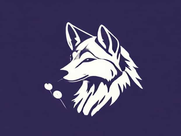 How To Care For Lupine