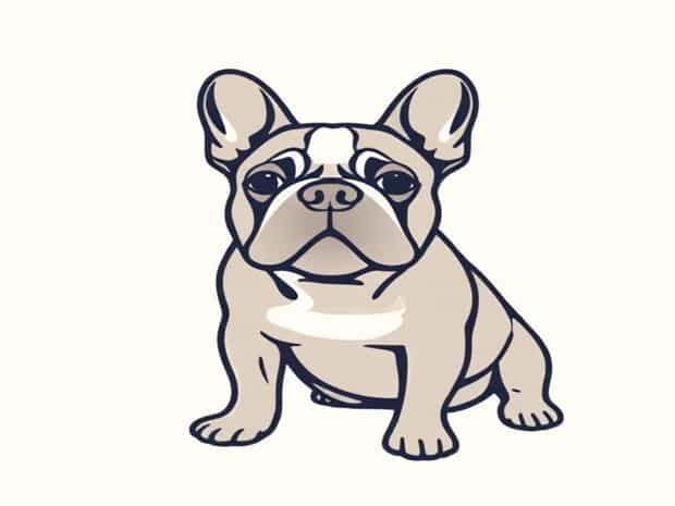 How To Housebreak A French Bulldog