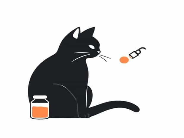 How To Medicate A Cat