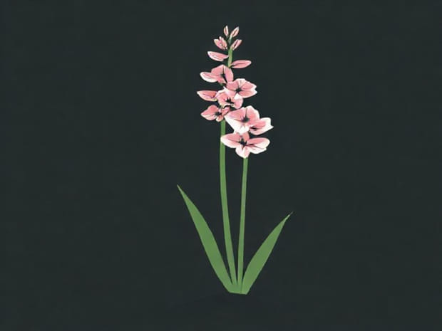 How To Plant Gladiolus Bulbs