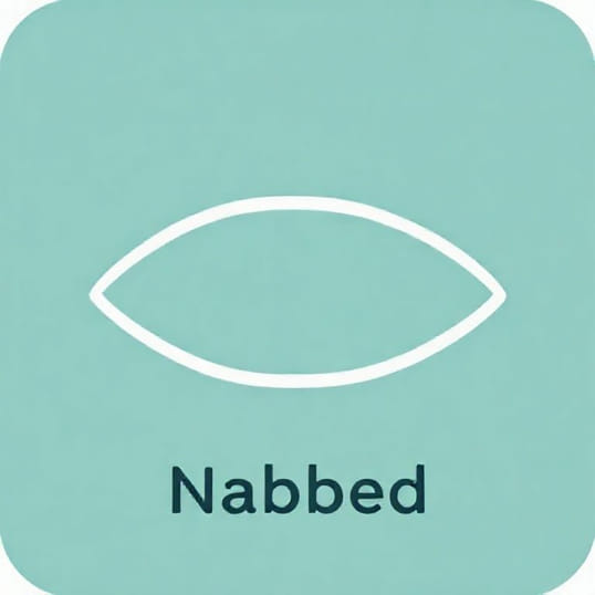 How To Pronounce Nabbed