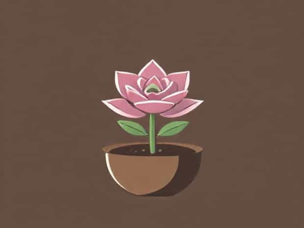 How To Propagate A Succulent