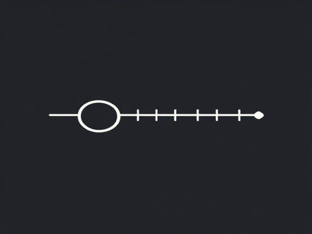 How To Stably Transfect A Cell Line