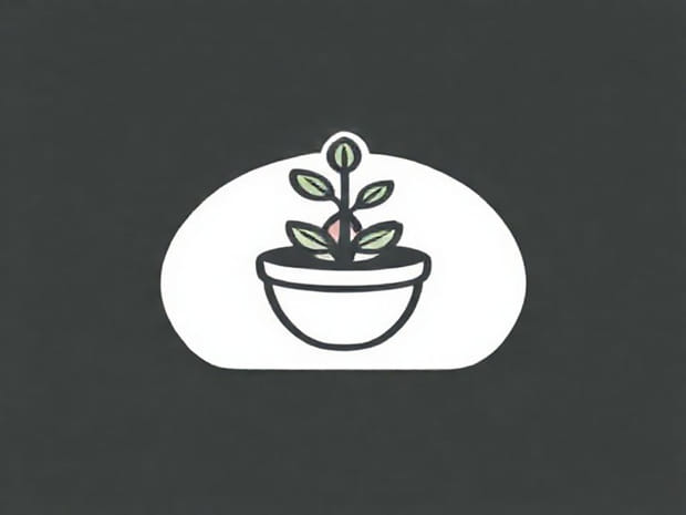 How To Take Care Of A Succulent