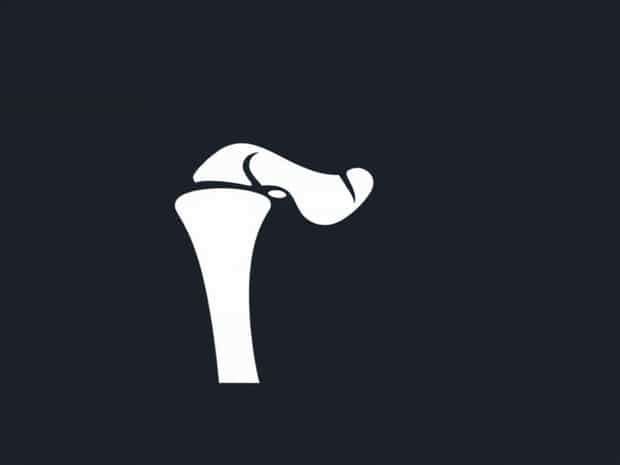 Humerus And Ulna Joint