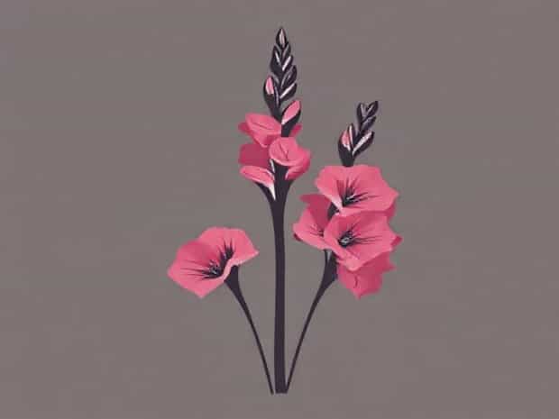 Images Of Gladiolus Flowers