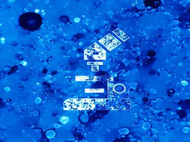Importance Of Sectioning In Microscopy