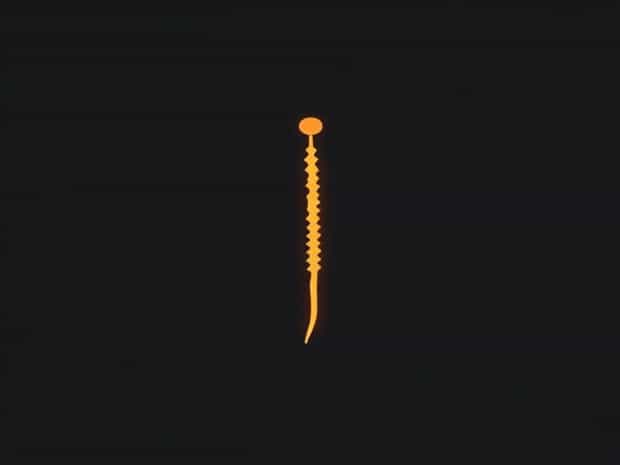 Internodal Elongation Is Stimulated By Internode Elongation