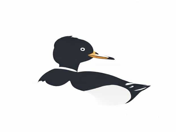 Is A Hooded Merganser A Duck