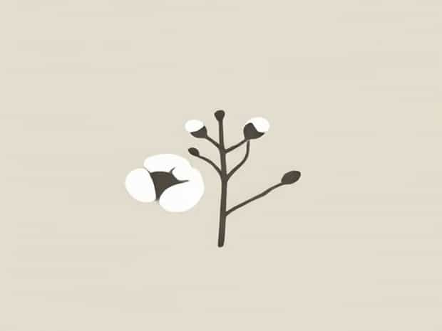 Is Combed Cotton Good