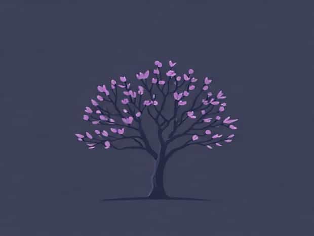 Jacaranda Tree Growing Zone