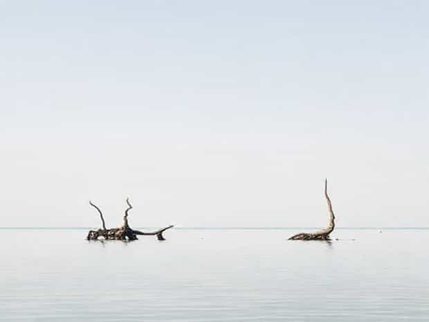 Jubail Mangrove Park Reviews