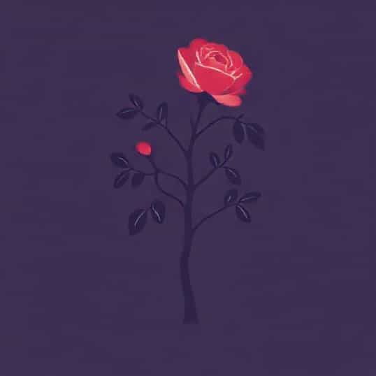 Kissing Tree Zinfandel Rose