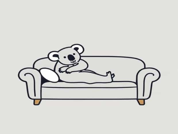 Koala Cushy Sofa Bed Assembly