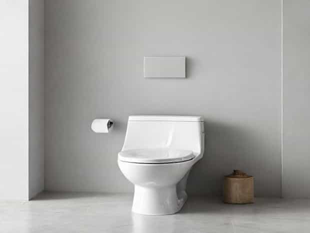 Kohler Intrepid Toilet Price